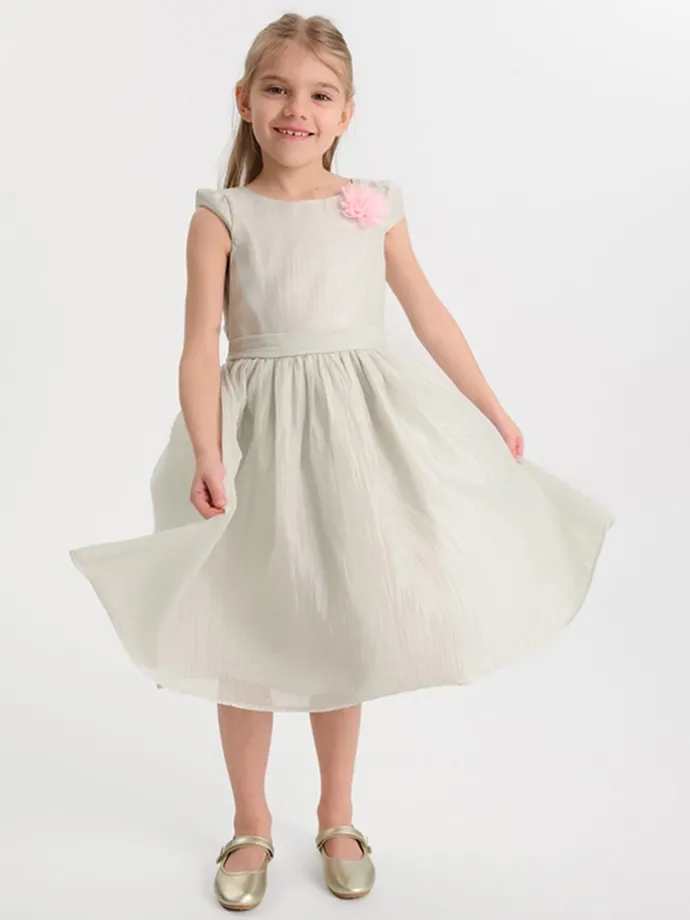 Ballerina's goudkleurig