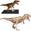 Bouwset "Tyrannosaurus Rex" - vanaf 8 jaar