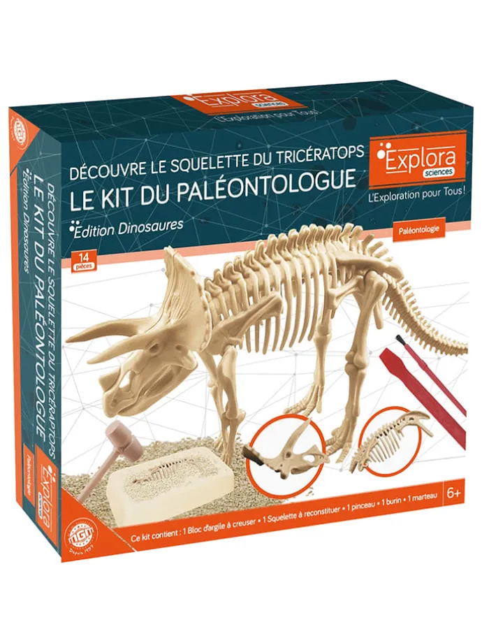 14-delige creativiteitsset "Paleontologie" - vanaf 6 jaar