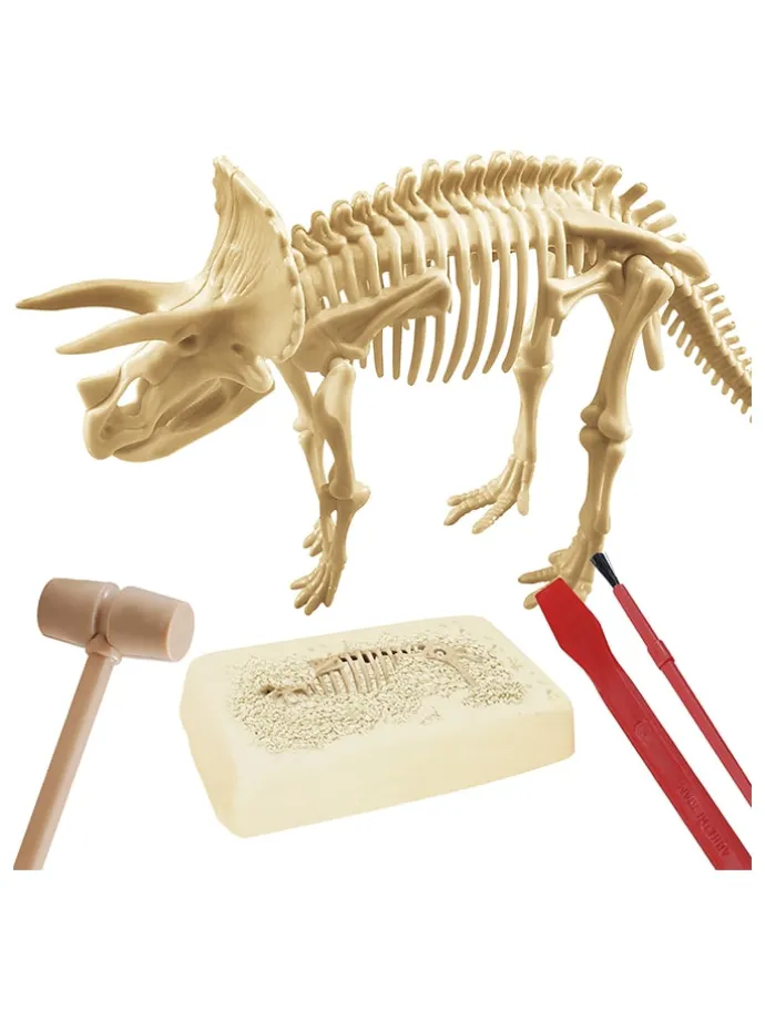 14-delige creativiteitsset "Paleontologie" - vanaf 6 jaar