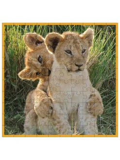 100-delige puzzel 