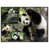1.000-delige puzzel "Panda's" - vanaf 12 jaar