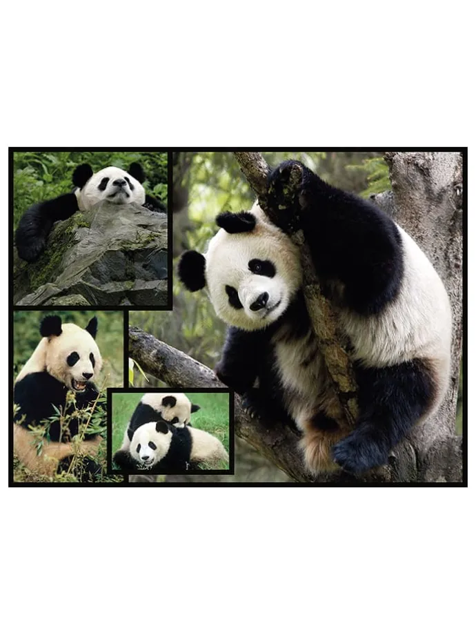1.000-delige puzzel "Panda's" - vanaf 12 jaar