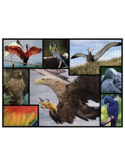 1.000-delige puzzel 