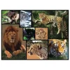 1.000-delige puzzel "Wilde katten" - vanaf 12 jaar