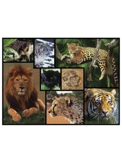 1.000-delige puzzel "Wilde katten" - vanaf 12 jaar