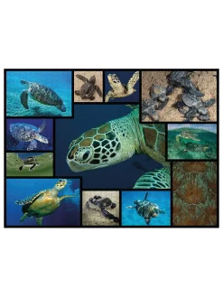 1.000-delige puzzel