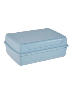 2-delige set: lunchboxen "Luca" lichtblauw - 1 l