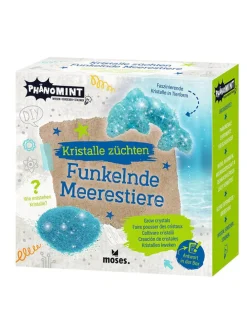 Experimenteerset