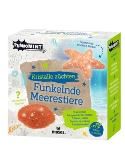 Experimenteerset