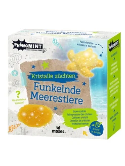 Experimenteerset