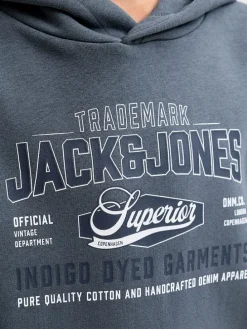 Hoodie blauwgrijs
