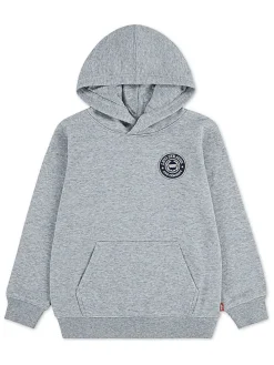 Hoodie grijs