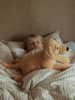 Knuffelhond met gewicht - vanaf de geboorte - 2,2 kg