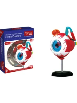 Leermodel "Het oog" - vanaf 8 jaar
