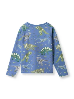 Longsleeve blauw