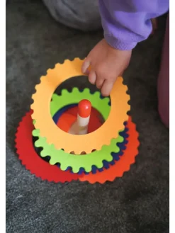 Ringgooispel 
