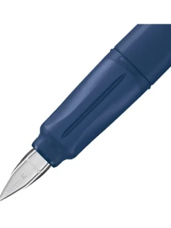 Schoolvulpen 
