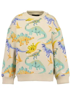 Sweatshirt beige/meerkleurig
