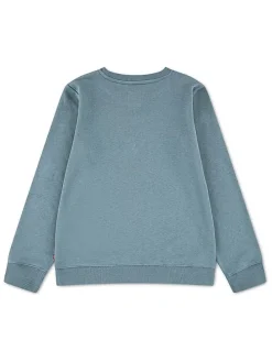 Sweatshirt blauw