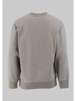 Sweatshirt grijs