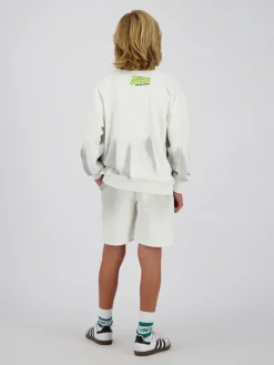 Sweatshirt grijs