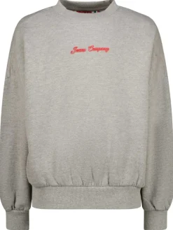 Sweatshirt grijs