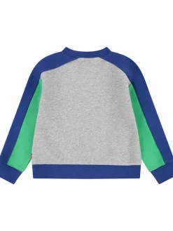 Sweatshirt grijs/blauw/groen