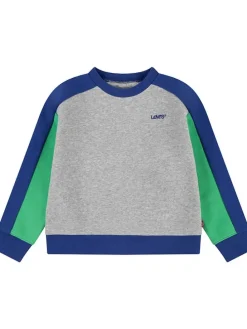 Sweatshirt grijs/blauw/groen