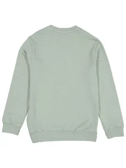 Sweatshirt lichtblauw