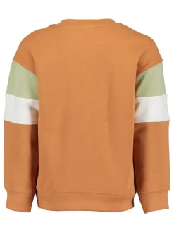 Sweatshirt oranje