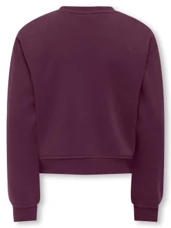 Sweatshirt paars