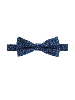 Vlinderdas blauw