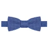 Vlinderdas blauw