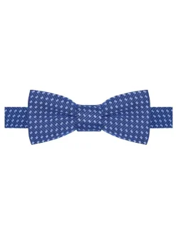 Vlinderdas blauw