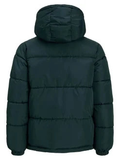 Winterjas "Haste" petrol